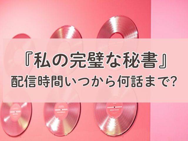 私の完璧な秘書　配信時間