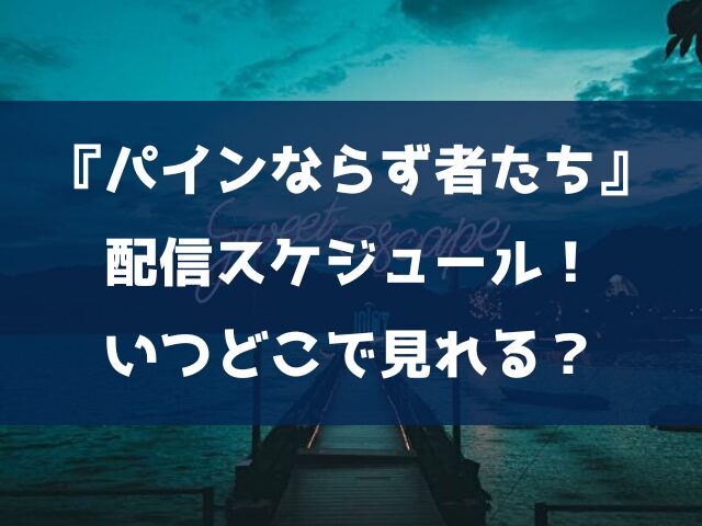パインならず者たち　配信時間