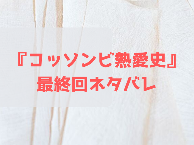 コッソンビ熱愛史 最終回