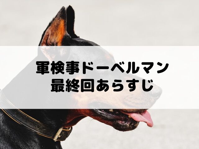 軍検事ドーベルマン 最終回
