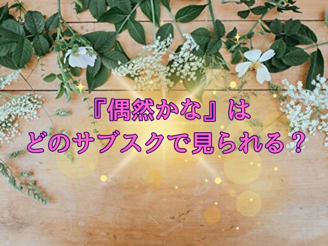 偶然かな　最終回