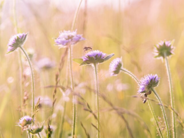 ミッシング2 最終回