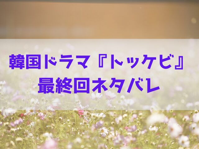 トッケビ　最終回