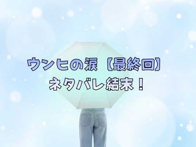 ウンヒの涙【最終回】ネタバレ結末！ウンヒとソンジェは最後どうなった？